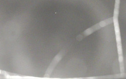 Ski Areál Opálená