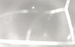 Ski Areál Opálená