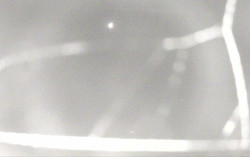 Ski Areál Opálená