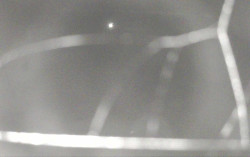 Ski Areál Opálená