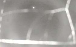 Ski Areál Opálená