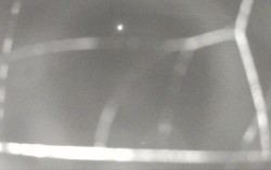 Ski Areál Opálená