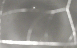 Ski Areál Opálená