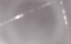 Ski Areál Opálená