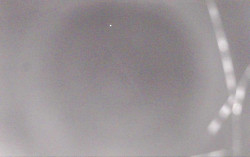 Ski Areál Opálená