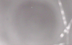 Ski Areál Opálená