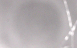 Ski Areál Opálená