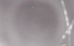 Ski Areál Opálená