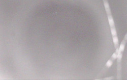 Ski Areál Opálená