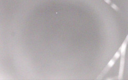 Ski Areál Opálená