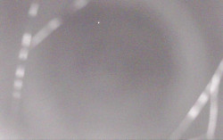 Ski Areál Opálená