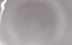 Ski Areál Opálená