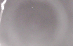 Ski Areál Opálená