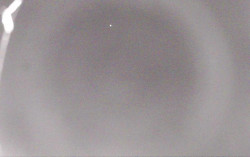 Ski Areál Opálená