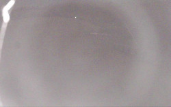 Ski Areál Opálená