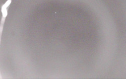 Ski Areál Opálená