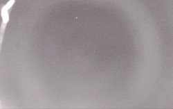 Ski Areál Opálená