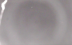 Ski Areál Opálená