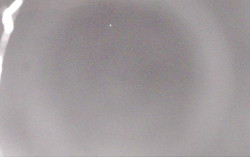 Ski Areál Opálená