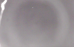 Ski Areál Opálená