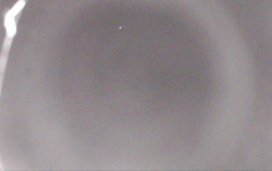 Ski Areál Opálená