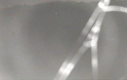 Ski Areál Opálená