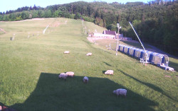 Ski Areál Opálená