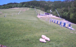 Ski Areál Opálená
