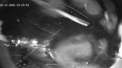 Náměstí Svobody, Hrad Buchlov