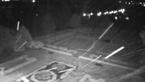 Obec Veselíčko - Veselíčko - zahrada u zámku - 16.4.2024 v 04:00 Obec Veselíčko - Veselíčko - zahrada u zámku - 16.4.2024 v 04:00