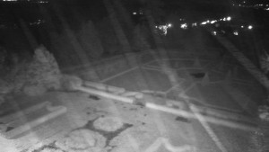 Obec Veselíčko - Veselíčko - zahrada u zámku - 29.10.2025 v 03:00 Obec Veselíčko - Veselíčko - zahrada u zámku - 29.10.2025 v 03:00