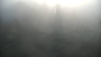 Snímek 5.11.2025 v 07:30