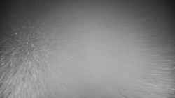 Veselíčko - zahrada u zámku