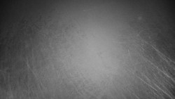 Veselíčko - zahrada u zámku