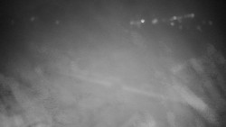 Veselíčko - zahrada u zámku