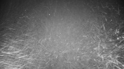 Veselíčko - zahrada u zámku