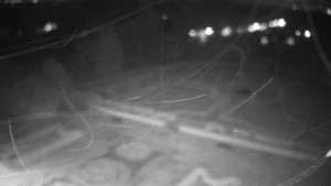 Obec Veselíčko - Veselíčko - zahrada u zámku - 14.11.2025 v 00:00 Obec Veselíčko - Veselíčko - zahrada u zámku - 14.11.2025 v 00:00