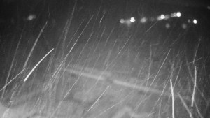 Obec Veselíčko - Veselíčko - zahrada u zámku - 14.11.2025 v 01:00 Obec Veselíčko - Veselíčko - zahrada u zámku - 14.11.2025 v 01:00