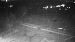 Veselíčko - zahrada u zámku