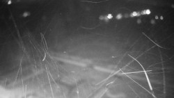 Veselíčko - zahrada u zámku