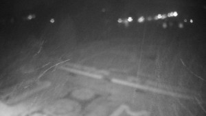 Obec Veselíčko - Veselíčko - zahrada u zámku - 17.11.2025 v 05:30 Obec Veselíčko - Veselíčko - zahrada u zámku - 17.11.2025 v 05:30