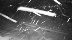 Veselíčko - zahrada u zámku