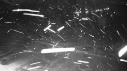 Veselíčko - zahrada u zámku