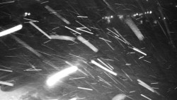 Veselíčko - zahrada u zámku