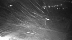 Veselíčko - zahrada u zámku