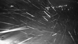 Veselíčko - zahrada u zámku