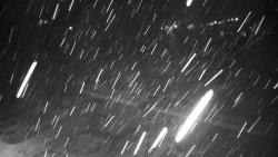 Veselíčko - zahrada u zámku