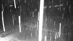 Veselíčko - zahrada u zámku