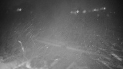 Veselíčko - zahrada u zámku