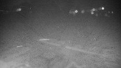 Veselíčko - zahrada u zámku